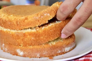 Massa de pão de ló profissional