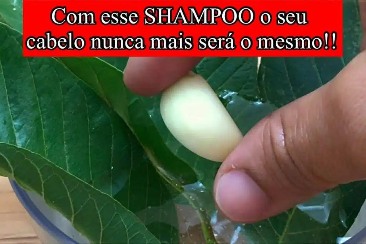 Shampoo caseiro para crescer cabelo tratamento natural