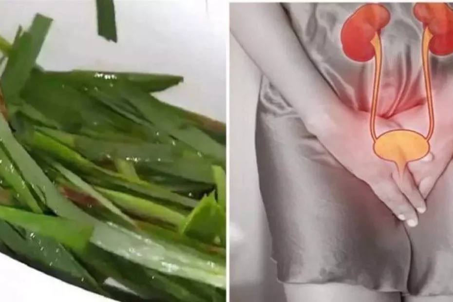 Receita natural para acabar com infecção urinária, dores e inflamação nos rins