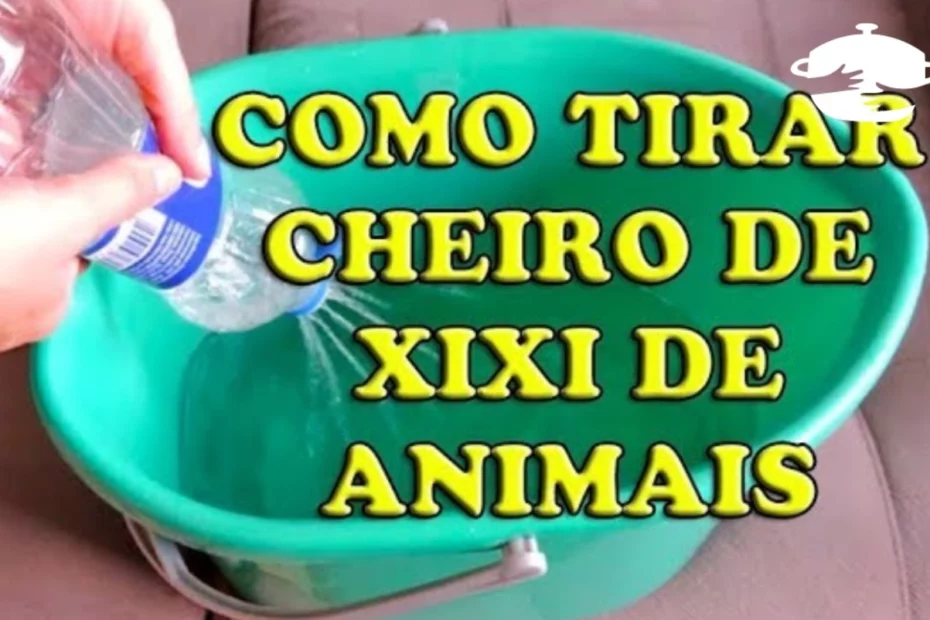 Como tirar o cheiro de urina de animais