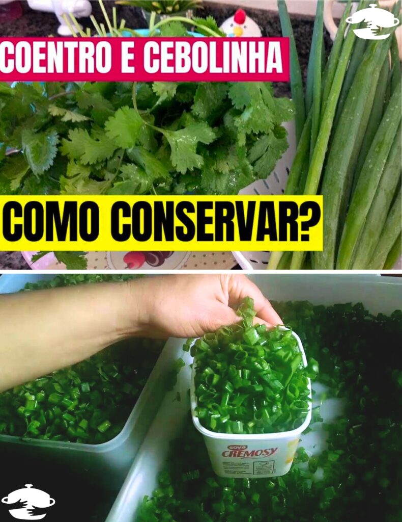 Como conservar coentro e cebolinha