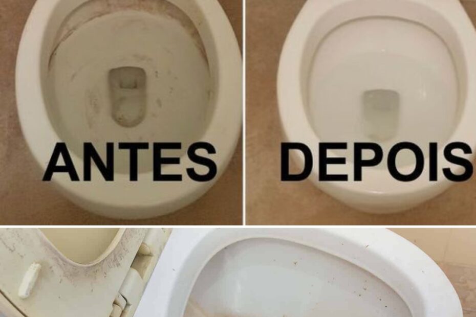 Como limpar vaso sanitário