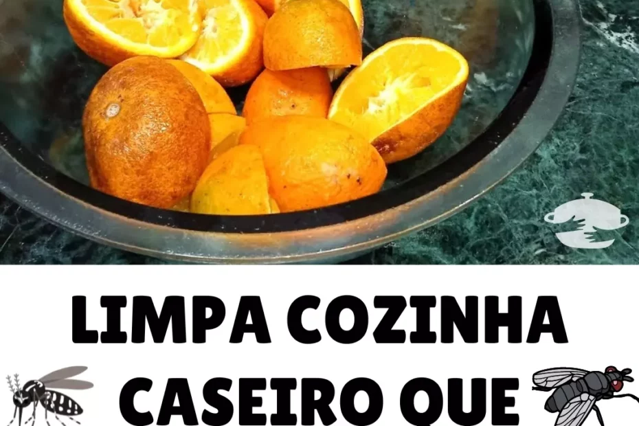 receita caseira de multiuso