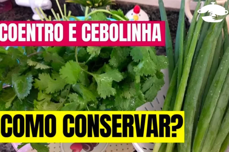 como conservar coentro e cebolinha