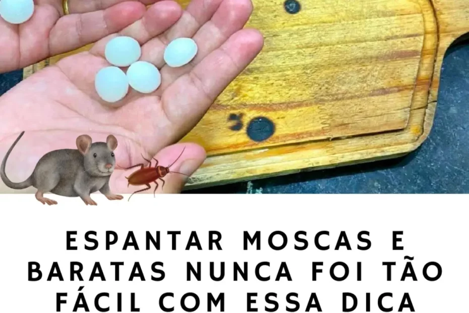 Espantar moscas e baratas