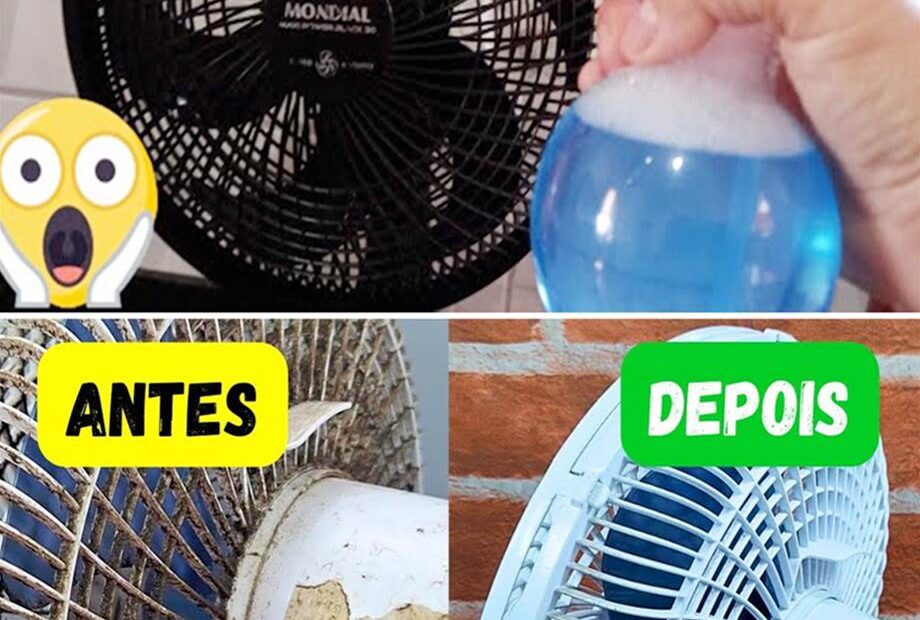 Agora só limpo ventilador assim