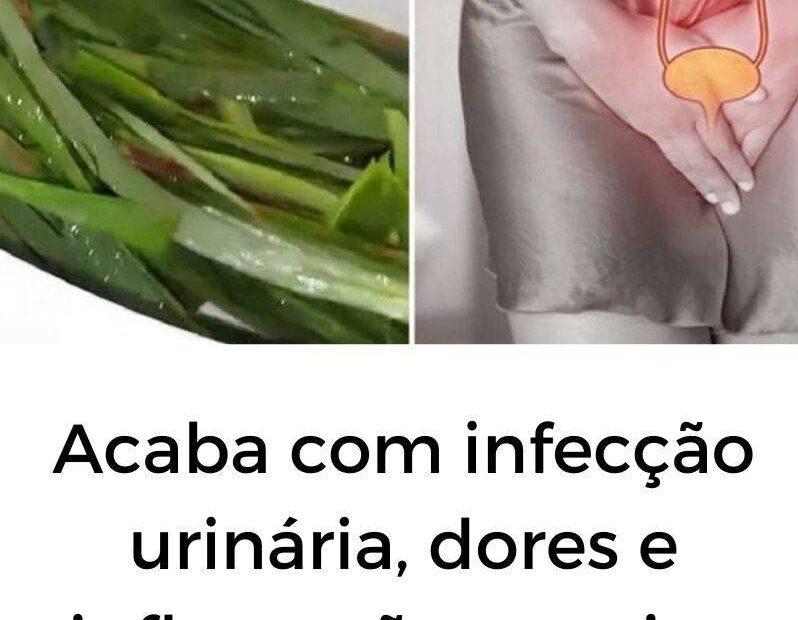 Receita natural para acabar com infecção urinária