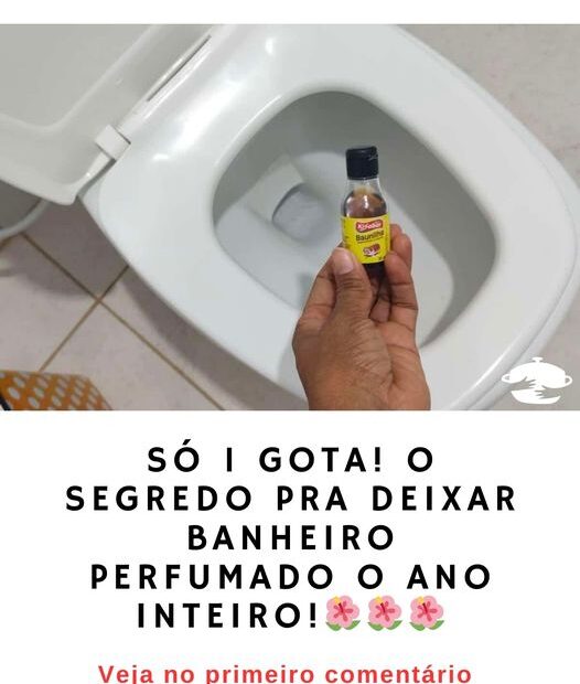 Veja como deixar banheiro perfumado