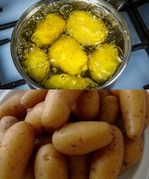 Benefícios da água de batata cozida