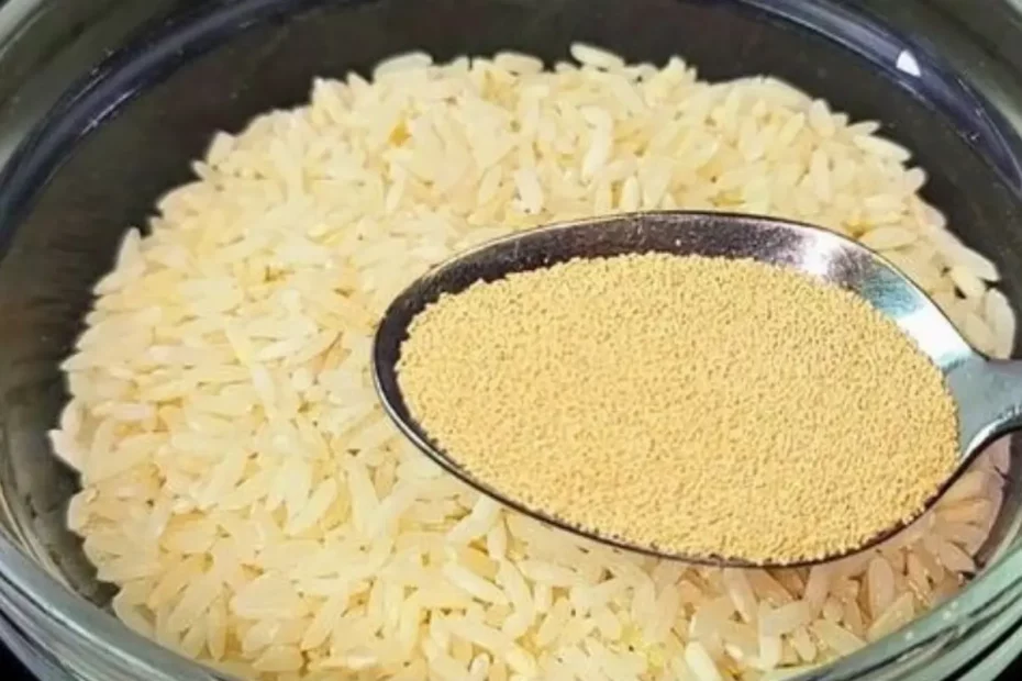 Pão de Arroz