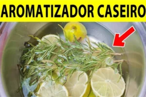 aromatizador caseiro